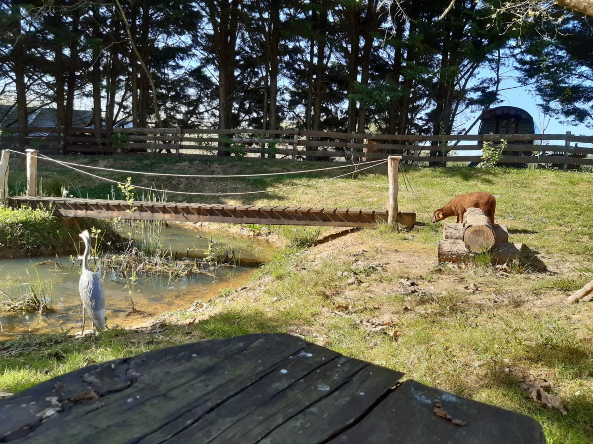 Tente Trappeur Ada, Au Jardin De La Vouivre Saint-Vincent-en-Bresse المظهر الخارجي الصورة